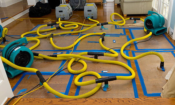 Professional Crawl Space Water Removal technician working in La Push, WA
